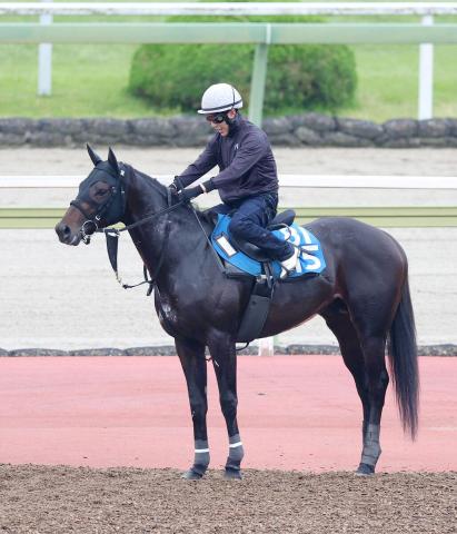 【エルムS】1番人気のロードクロンヌは2戦連続2着　重賞初制覇ならず　藤岡佑介騎手「もう一歩でした」