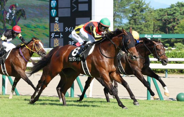 【新潟7R・関越S】ウンブライルが実に2年10か月ぶり白星　戸崎圭太騎手「強かったと思います」