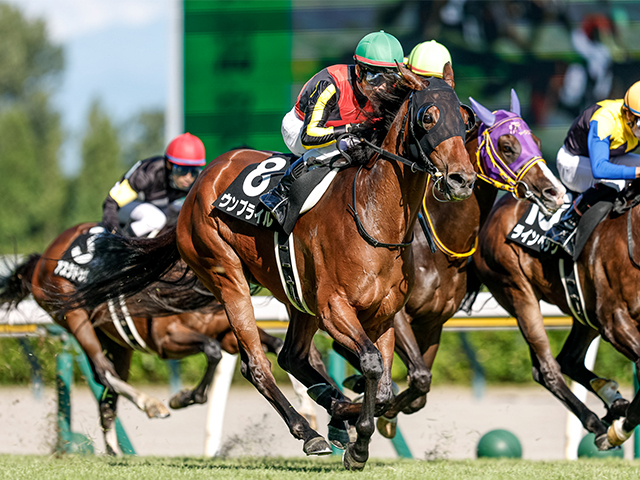 【関越S結果】ウンブライルが差し切り、2年10か月ぶりのV