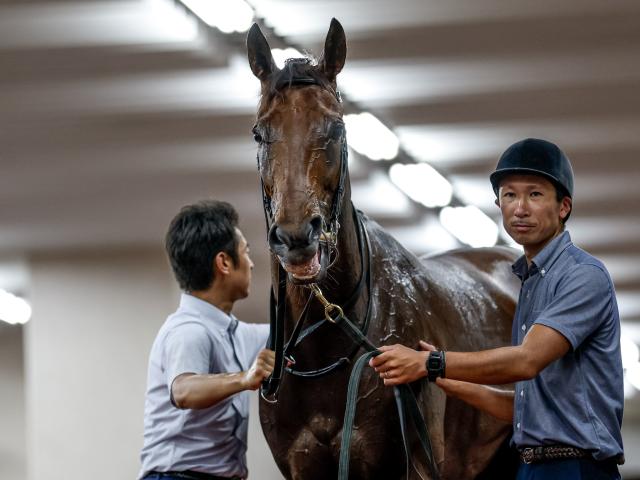 【関越Sレース後コメント】ウンブライル戸崎圭太騎手ら