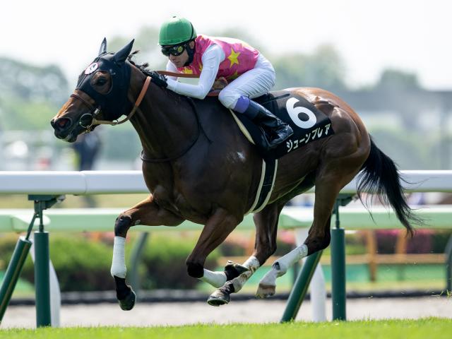 【AI予想・CBC賞】芝1200mでは連対率100％と安定感抜群！ 先行力を生かし待望の初タイトル奪取へ