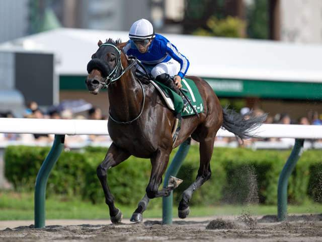 【エルムS結果】ペリエールが好位抜け出しで快勝 重賞2勝目