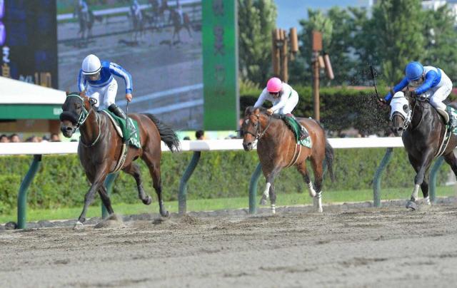 【エルムS】ペリエール　突き抜け重賞2勝目!　黒岩師「(秋は)大きなレースで」