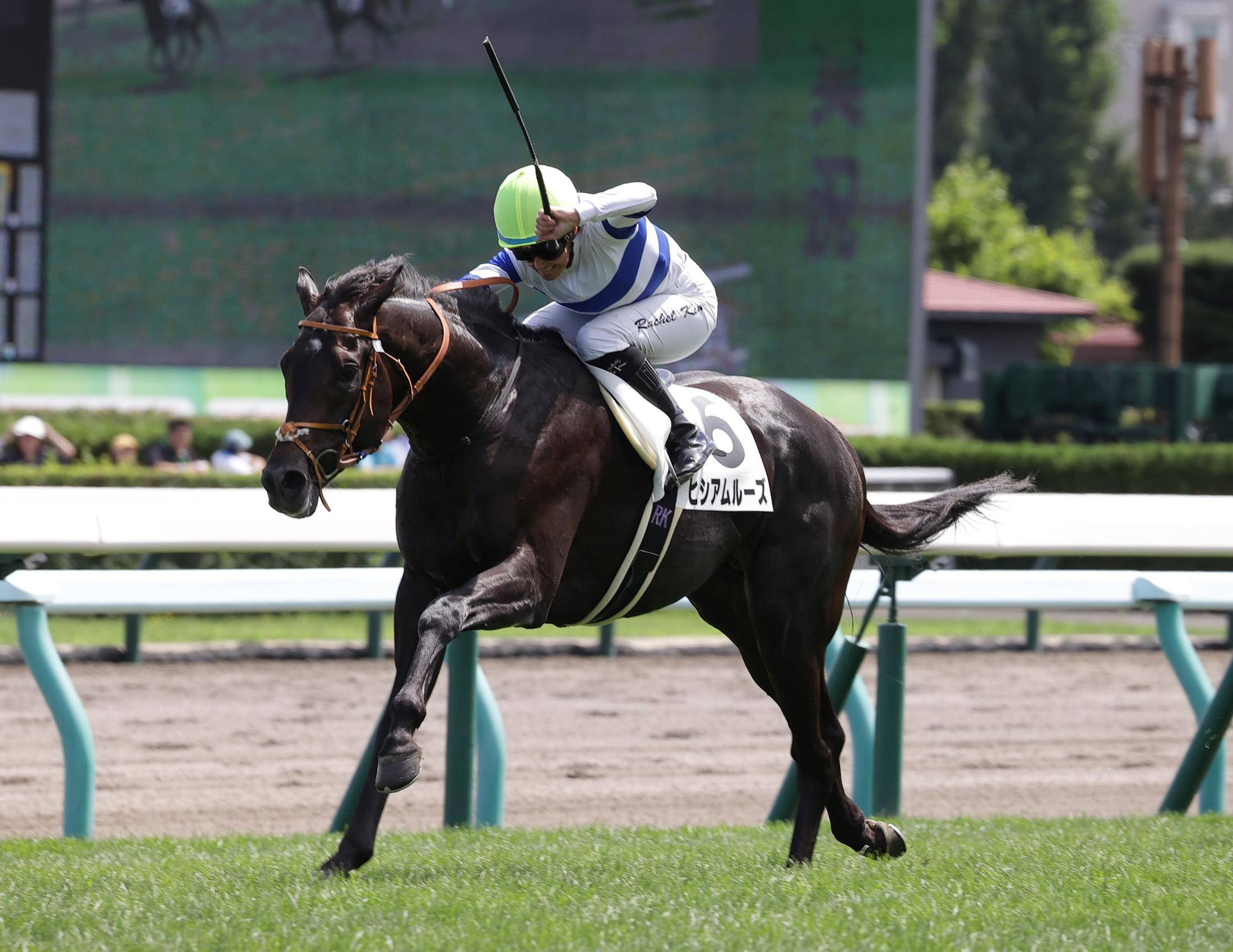 【新馬戦】サートゥルナーリア産駒・ヒシアムルーズ　２馬身差快勝　キング「これからレベルアップできるタイプ」