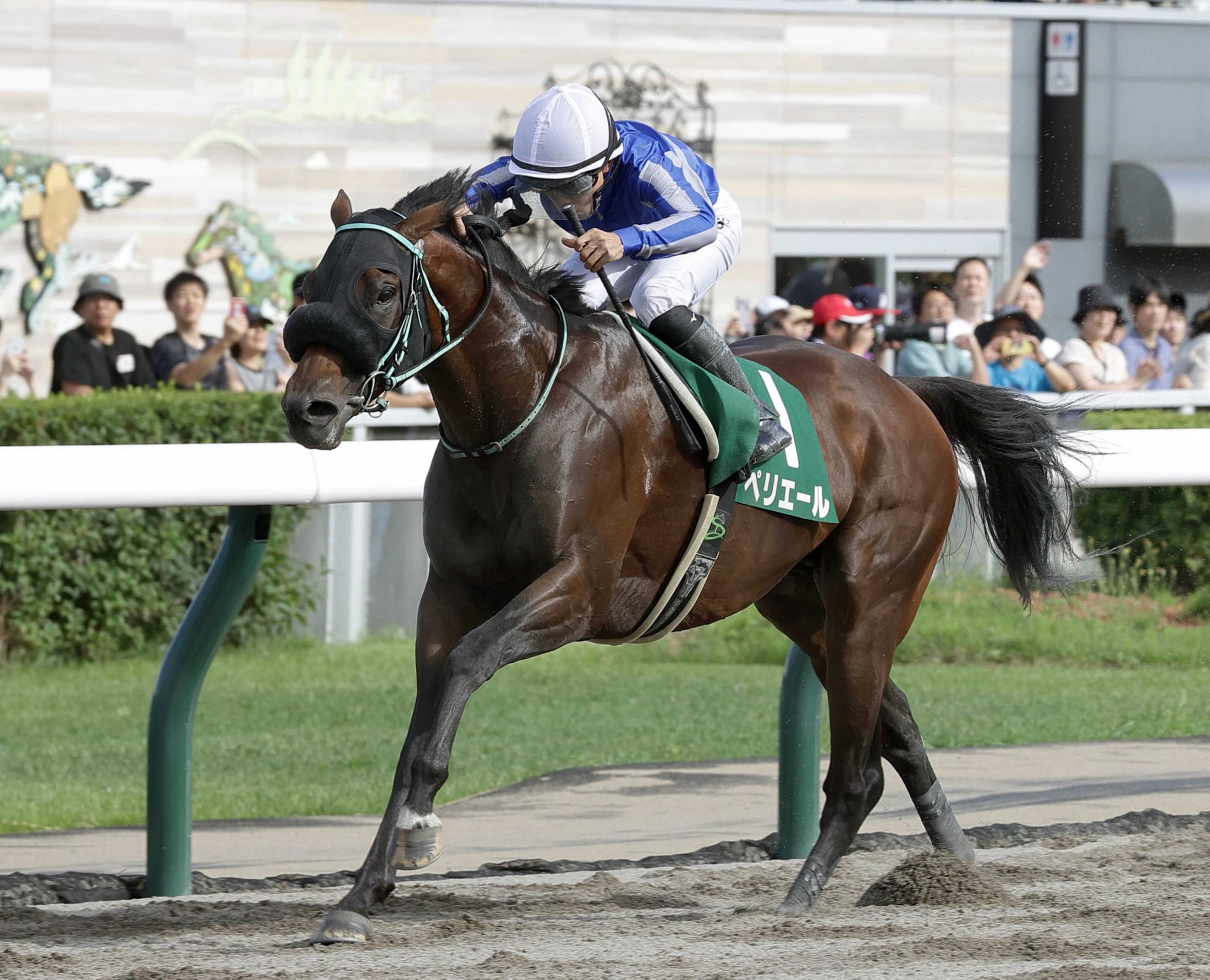 【エルムＳ】ペリエール　大好き北の大地で再進劇！　２３年ユニコーンＳ以来の重賞２勝目