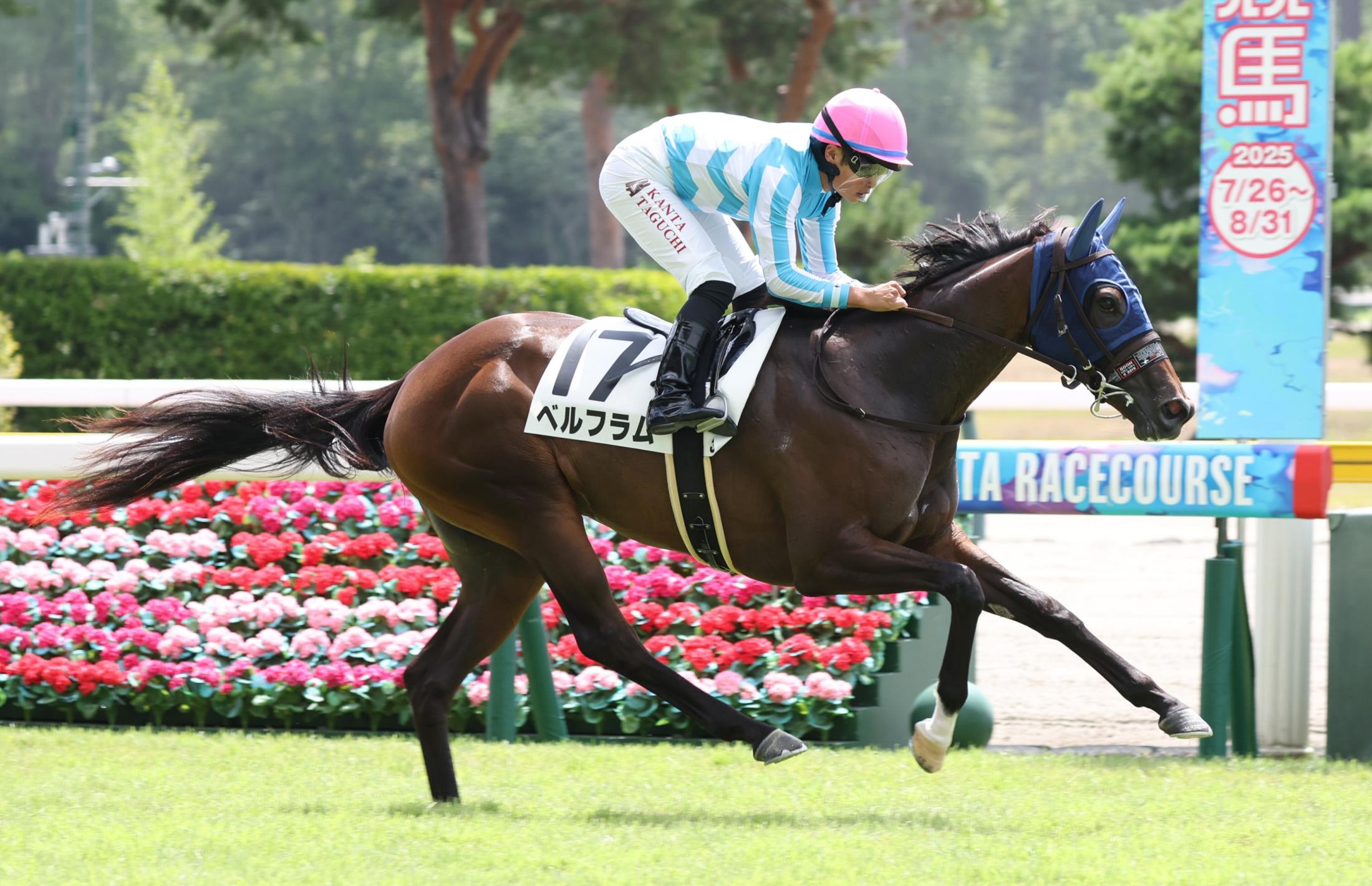【新馬戦】ベルフラム　直線抜け出し初星　田口「折り合いに難しい面はあったが、このまま成長してくれれば」