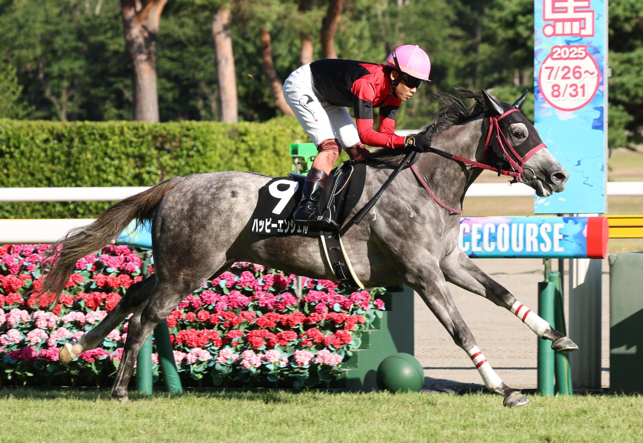【ダリア賞】ハッピーエンジェル　逃げ切り連勝　三浦「返し馬から体の使い方がきれいで、無理せず楽に行けた」