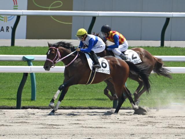 【レパードS・馬体重】ロードラビリンスは484kg(-4)、ヴィンセンシオは514kg(+8)