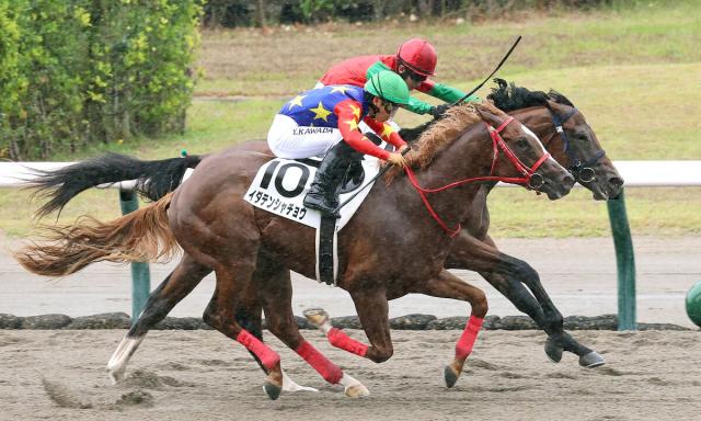 【新潟3R・2歳新馬】マイネルミストラルが接戦制す　石川裕紀人騎手「上を目指せる馬」