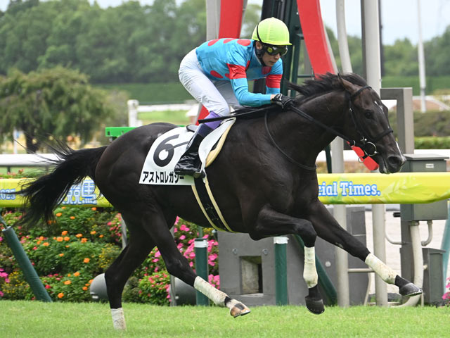【中京4R新馬戦結果】リオンディーズ産駒アストロレガシーが好位抜け出しV