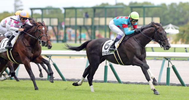 【中京4R・2歳新馬】アストロレガシーが鋭い脚で抜け出してデビューV　この日2勝目の武豊騎手「すごくいい馬」