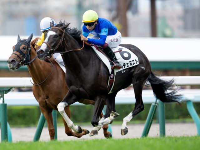 【札幌5R新馬戦結果】タリスマニック産駒ドルチェミストが初陣飾る