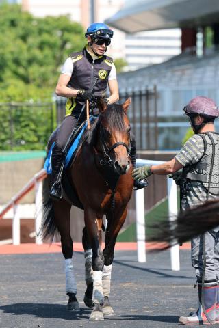 日曜札幌競馬場の注目激走馬…札幌11R・UHB賞