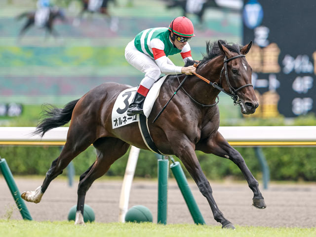 【新潟2R新馬戦結果】オルネーロが人気に応え逃げ切りV 姉はダノンファンタジー