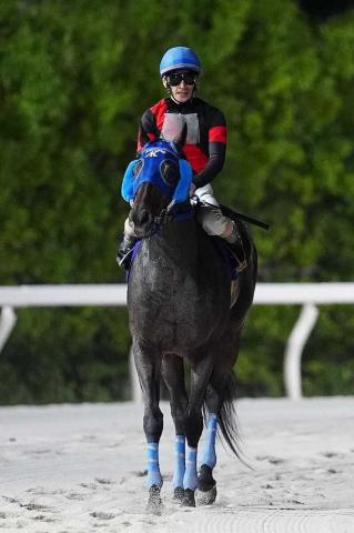 【大井競馬】ディクテオン　9・7コリアカップの招待受諾