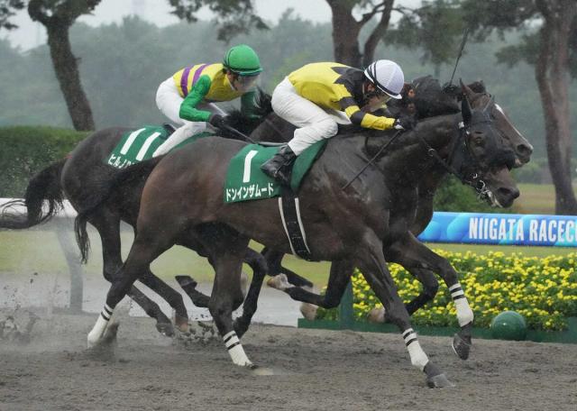 【レパードS】ドンインザムード　直線差し切り初重賞　雨中の一戦モノにして父子制覇