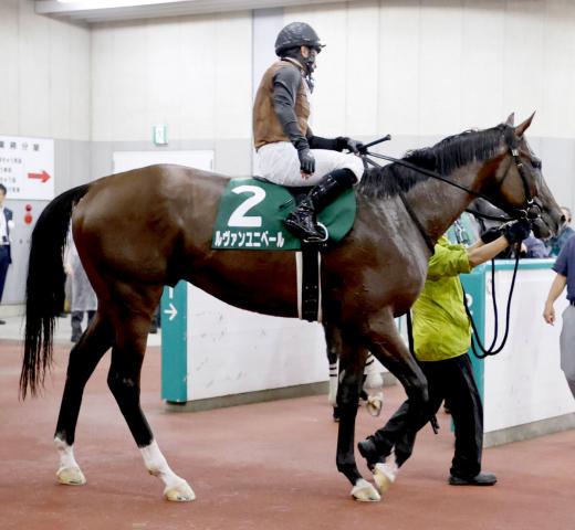 【レパードS】12番人気ルヴァンユニベールが内枠生かして2着激走　内田博幸騎手「一発を狙っていました」
