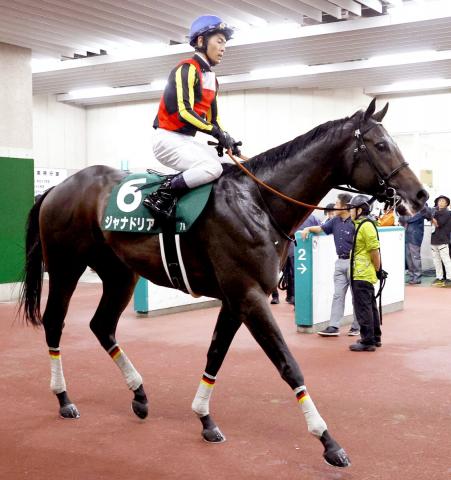 【レパードS】逃げの手に出たジャナドリアは踏ん張れず6着　戸崎圭太騎手「最後は手応えが…」