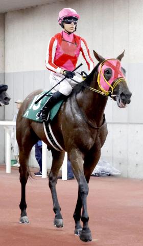 【レパードS】ハグは伸び切れず4着　悔やむ高杉吏麒騎手「砂をかぶってブレーキをかけてしまい…」