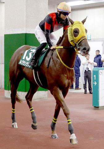 【レパードS】ルグランヴァンはブービー14着に沈む　原優介騎手「向こう正面から気持ちが乗らないような感じに…」