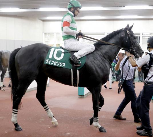【レパードS】初ダートのヴィンセンシオは発馬でつまづき中団後方から7着　ルメール騎手「砂をかぶって頭を上げて…」