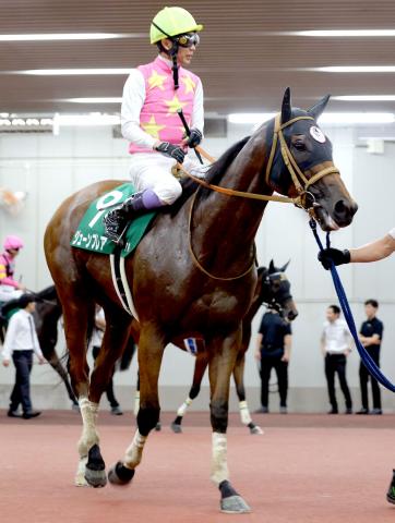 【CBC賞】「もったいないレースでした」武豊騎手とコンビのジューンブレア2着　3コーナー手前でごちゃつき…