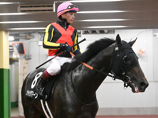 【浜名湖特別レース後コメント】シャハザマーン A.バデル騎手ら