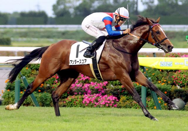 【中京12R・3歳上1勝クラス】グラスワンダーと同馬主のアンダースコア快勝　「半沢」は新潟4R含む2戦2勝