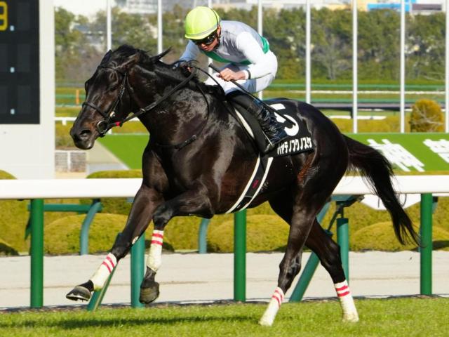 【札幌記念】青森産馬のJRA重賞制覇なら5年ぶり ハヤテノフクノスケが初タイトル狙う