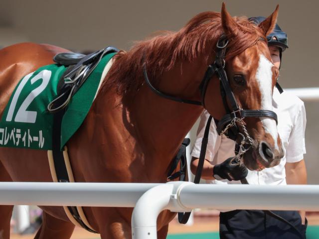 【中京記念】井上敏樹騎手が重賞初制覇なるか コレペティトールで一発狙う
