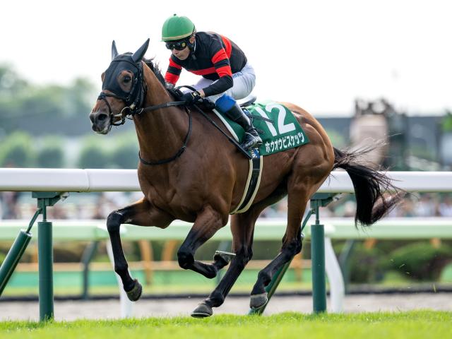 札幌記念、中京記念など3重賞とフランスでジャックルマロワ賞/今週の競馬界の見どころ