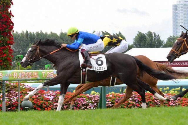 【札幌新馬戦】ドルチェミストV!横山武が高評価「言うことのない内容」