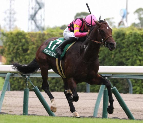 【CBC賞】インビンシブルパパ逃げるが勝ち!直線で二枚腰　佐々木は2日連続重賞V