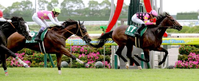 【CBC賞】インビンシブルパパが待望の重賞初制覇　初コンビの佐々木大輔騎手が2日連続重賞勝利