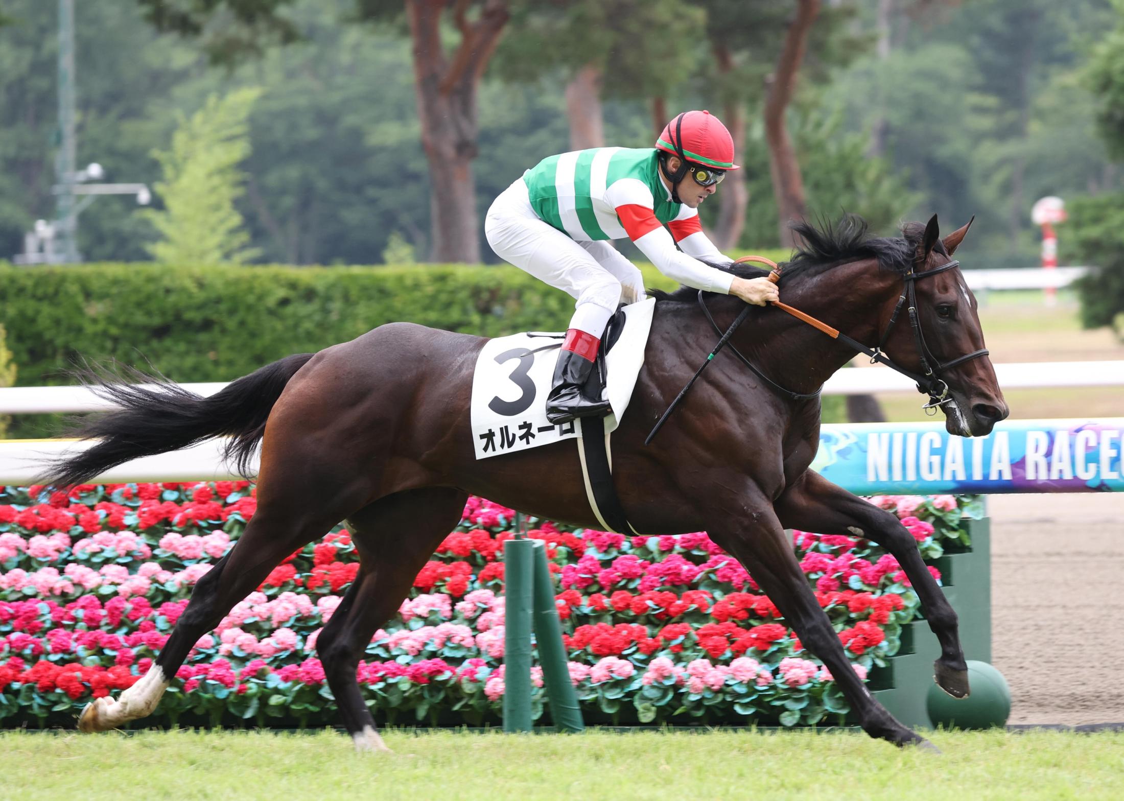 【新馬戦】オルネーロ悠々逃げ切りＶ　半姉に重賞６勝ダノンファンタジー　ルメール「跳びが大きいね。長い脚を使った」