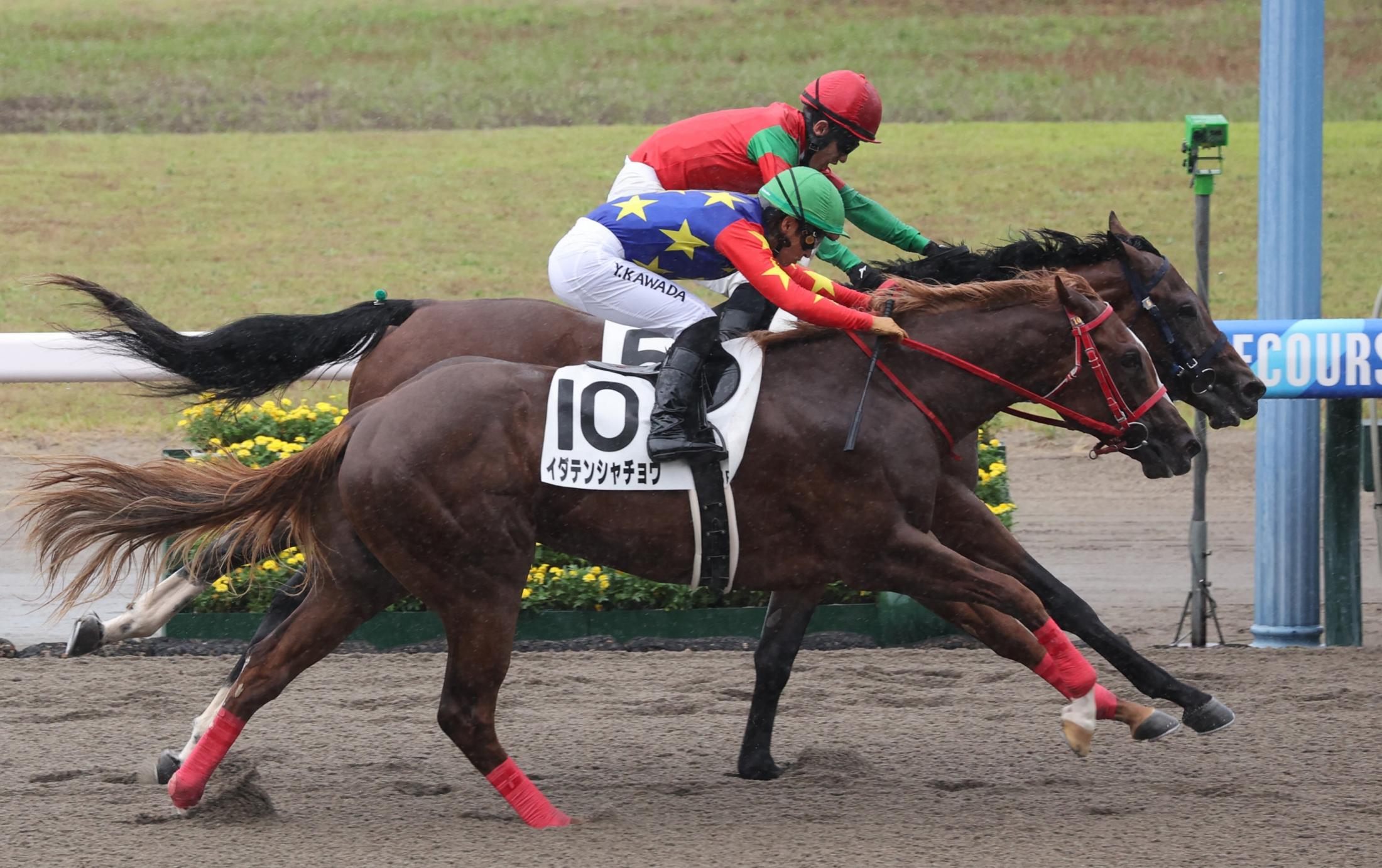 【新馬戦】マイネルミストラル鼻差でデビュー星　石川「距離は忙しかったけど、かなり素質はあります」