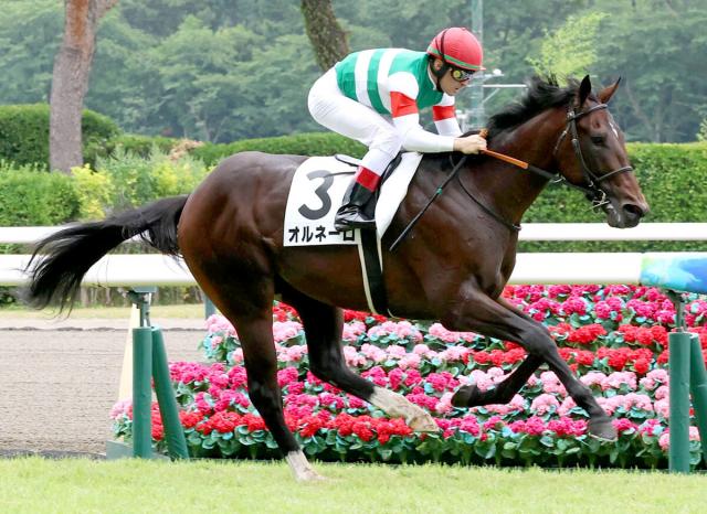 半姉が重賞6勝の良血オルネーロが初陣V　ルメール騎手も「サトノダイヤモンドっぽい」高い資質感じ取った