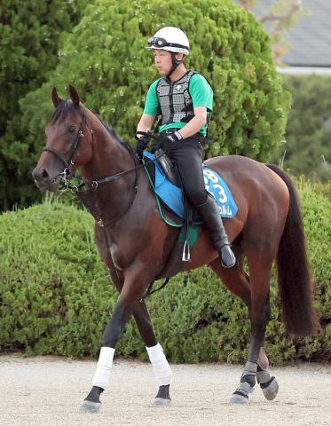 【中京記念・水納の特注馬】キープカルムの重賞連勝に期待　しらさぎSが見事な内容