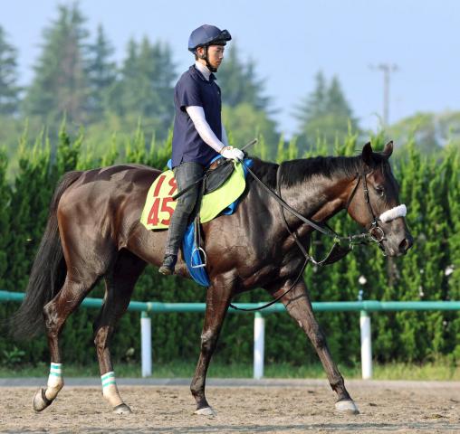 【POG・坂本の特注馬】8・16新潟デビューのジャストマイウェイは魅力的な血統馬　国枝調教師「前向きでいいね」