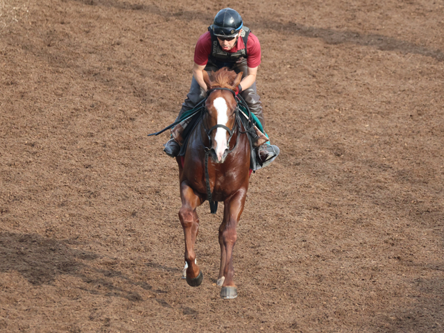 キーンセンスが日曜中京で初陣 松永幹師「(当週には)もっと良くなる」