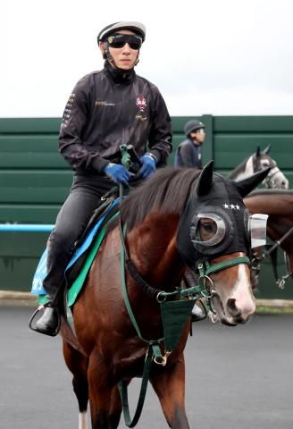 【札幌記念・山下の特注馬】併せ馬で刺激を与えたアルナシームに注目　重賞3勝目のチャンス