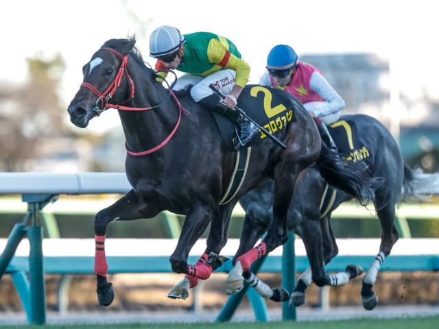 【中京記念想定騎手】エコロヴァルツは坂井瑠星騎手、エルトンバローズは川田将雅騎手