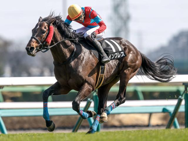 【新潟JS想定騎手】インプレスは小牧加矢太騎手、サイードは小坂忠士騎手