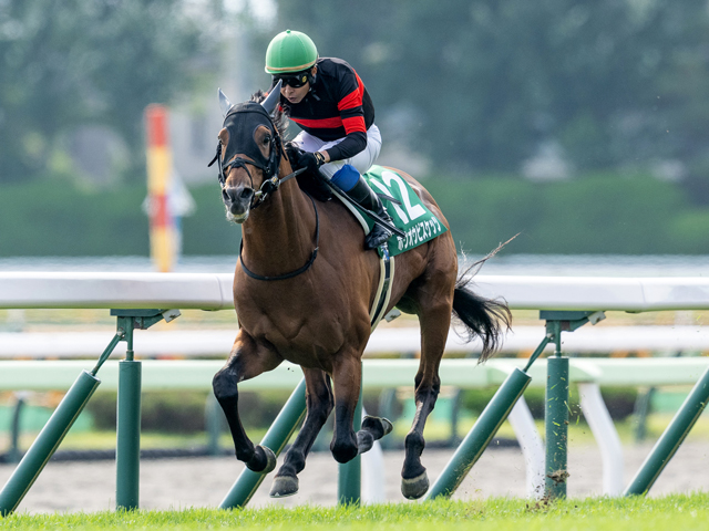【AI予想・札幌記念】好メンバーが集った伝統の一戦！ 人工知能は中距離重賞で実績残す3頭に高評価