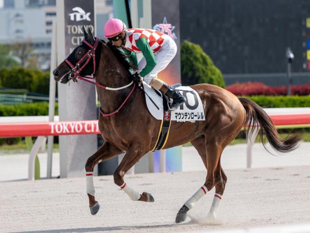 【大井・黒潮盃枠順】4連勝中のマウンテンローレルは5枠5番