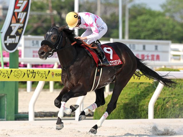 【門別・北海道SC枠順】4連勝中のマテンロウコマンドは2枠2番 出走8頭の少頭数