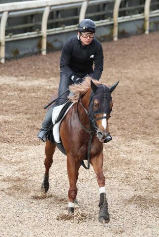 【盛岡11R　クラスターC】サンライズアムール　逃げ切って重賞初V　“代打”高松亮お見事好騎乗