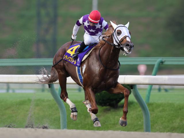 【盛岡・クラスターC結果】1番人気サンライズアムールが逃げ切りV！重賞初制覇を飾る