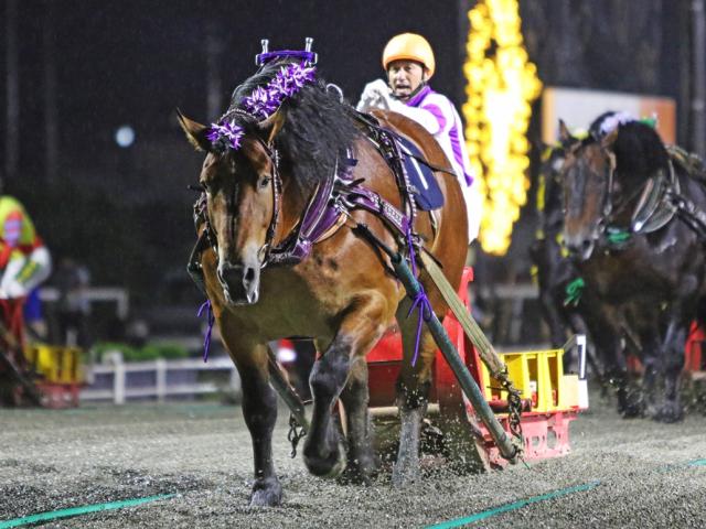 【帯広・ばんえいグランプリ結果】メムロボブサップがばんえい史上初の同一重賞5連覇を達成！