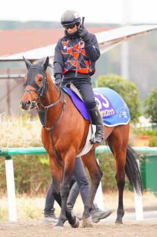 【札幌記念】ホウオウビスケッツ　力強い脚さばき　岩田康「馬は凄く落ち着いている」